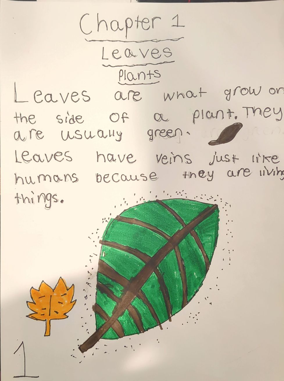 Chapter 1: Leaves