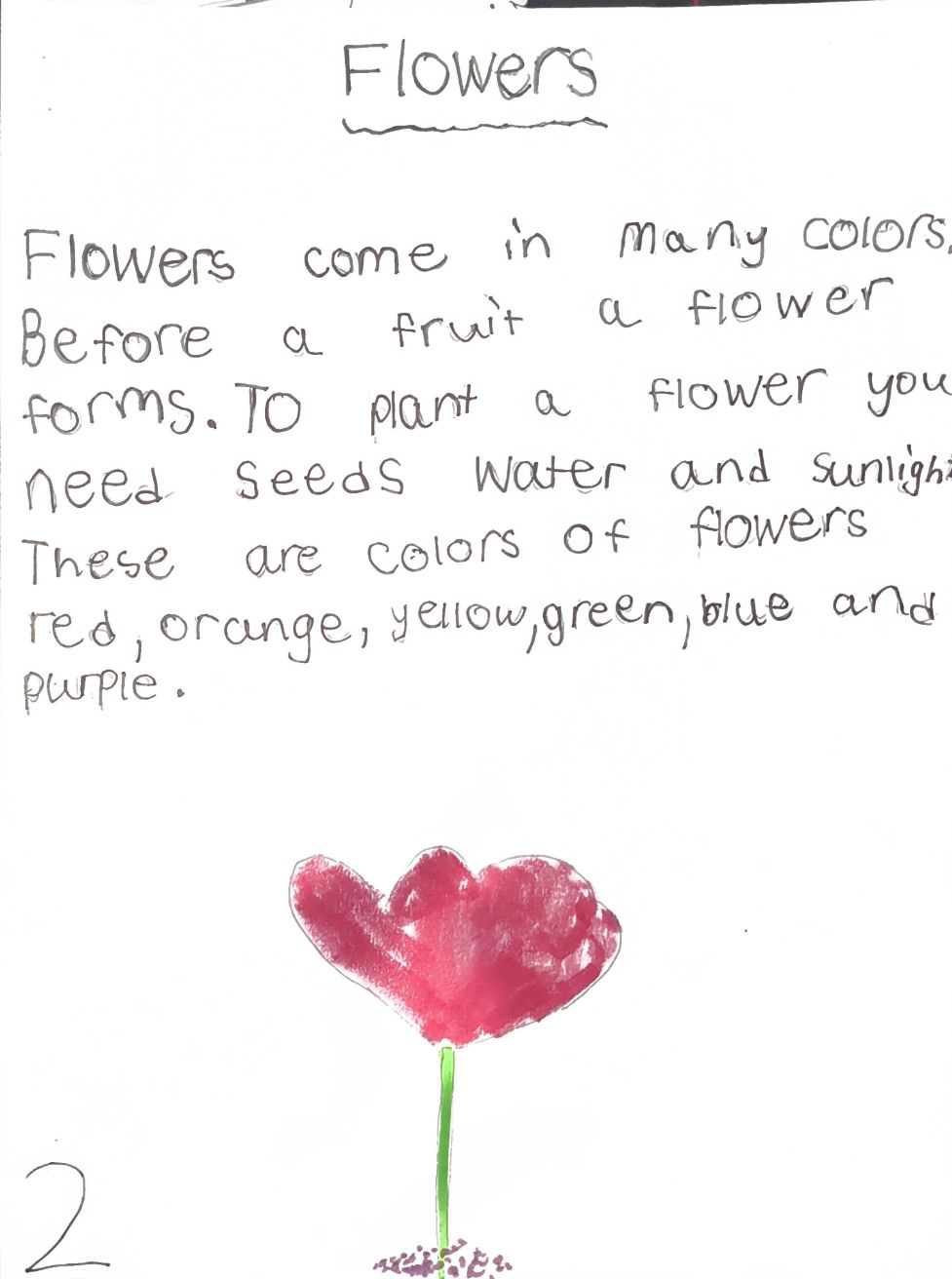 Flowers