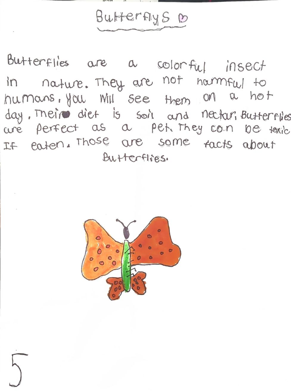 Butterflies
